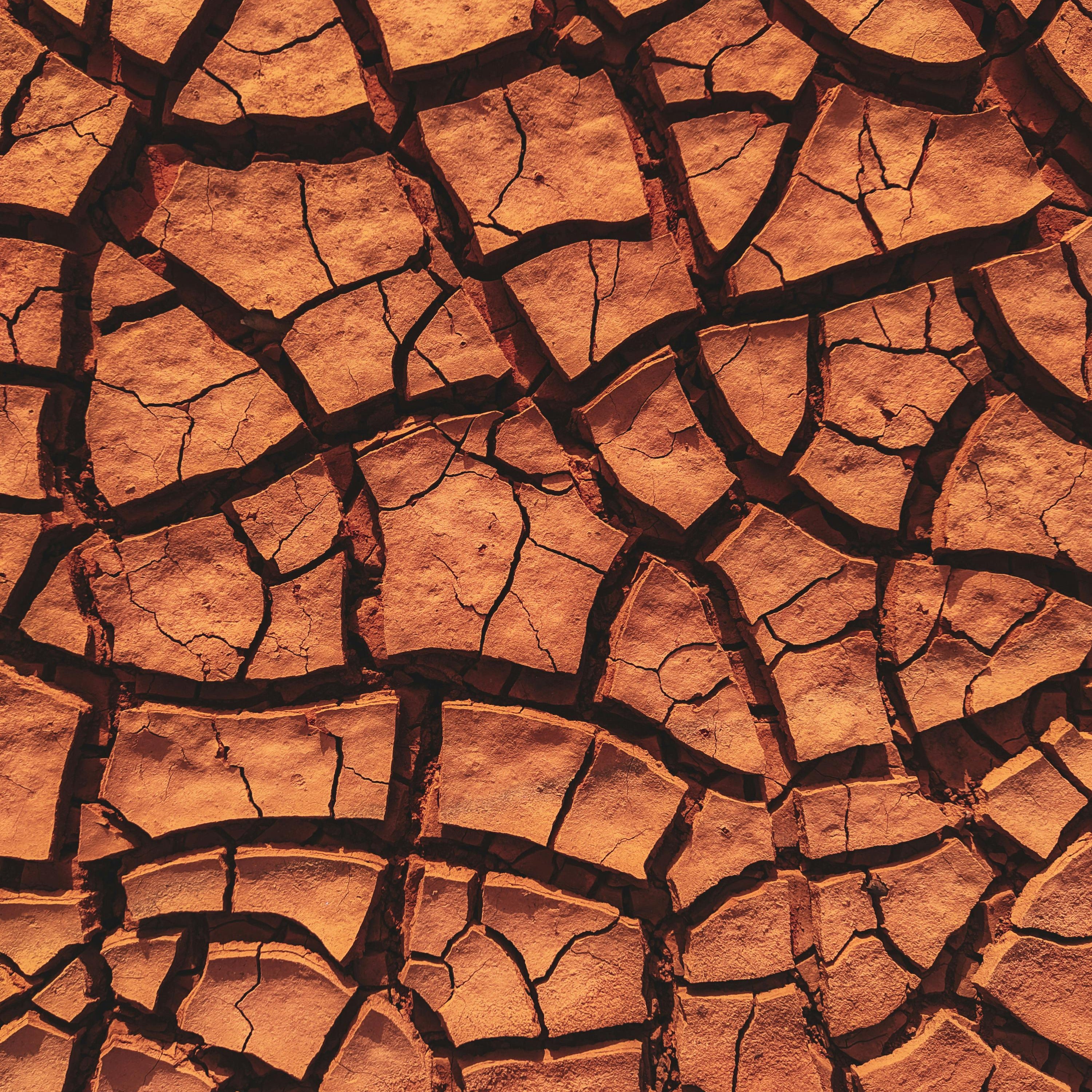 Piel seca y sin brillo