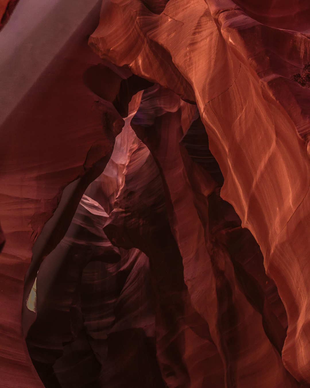 2_4e6d9f7d-a68b-4251-b790-8330de9c7907.png