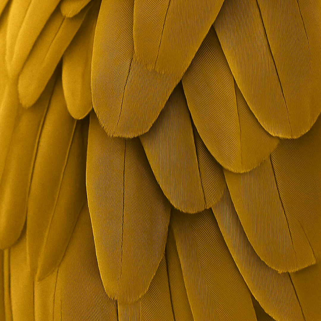 5_b021f40c-9d25-42eb-b399-f8dbf19df825.png