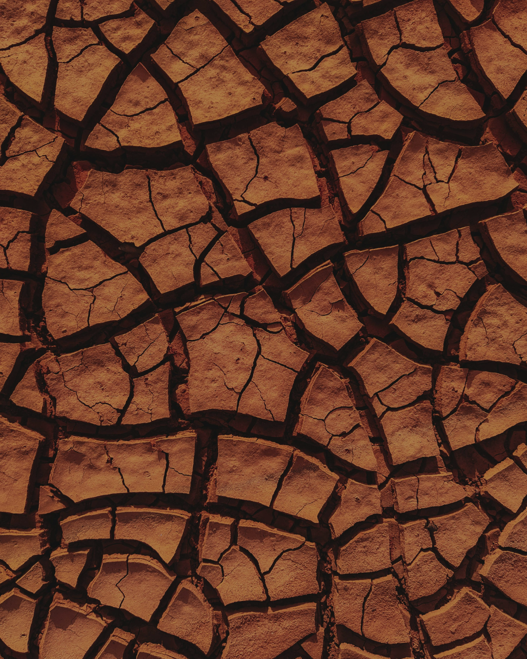 Piel seca y sin brillo